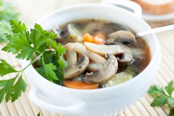 Gentle summer vegetable soup — Stock Photo, Image