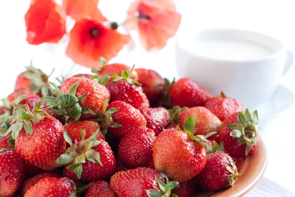 Ripe berries and fresh milk — Stock Photo, Image