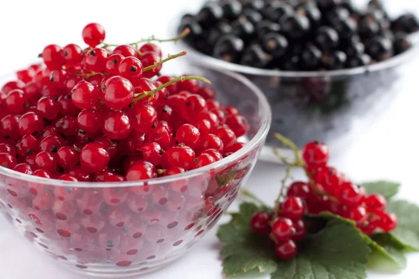 Grosellas rojas y negras, bayas en cuencos transparentes — Foto de Stock