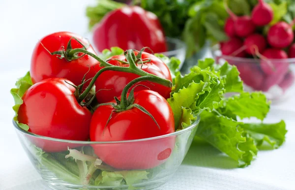 Tomates sur fond de radis — Photo