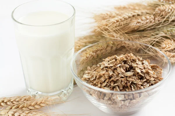 Vaso de leche y avena — Foto de Stock