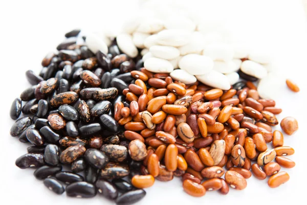 パイル腎臓豆の 3 つの色： ホワイト、レッド、ブラック — ストック写真