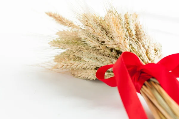 Dry ears of wheat and red ribbon — Stock Photo, Image