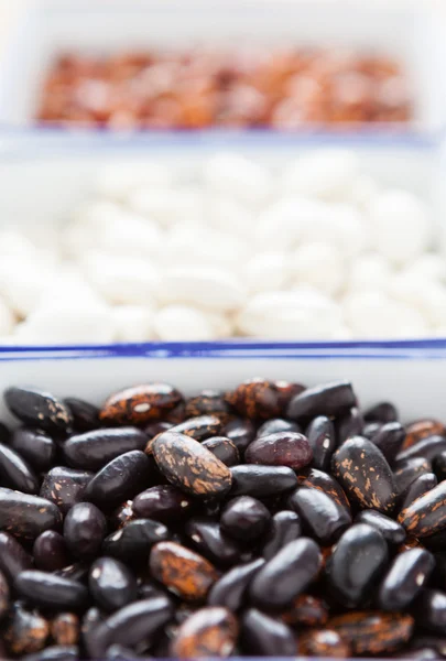 Three kinds of raw beans in square containers — Stock Photo, Image