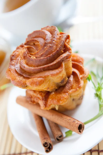 Zwei Quark-Früchtekuchen mit Zimt auf einem Teller — Stockfoto