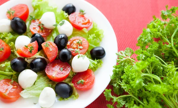 Caprese salad and parsley on red background — Stock Photo, Image