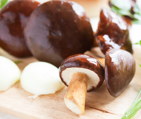 Wild mushrooms on the kitchen blackboard — Stock Photo, Image