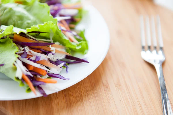 Salada de repolho e cenouras em folhas de salada — Fotografia de Stock