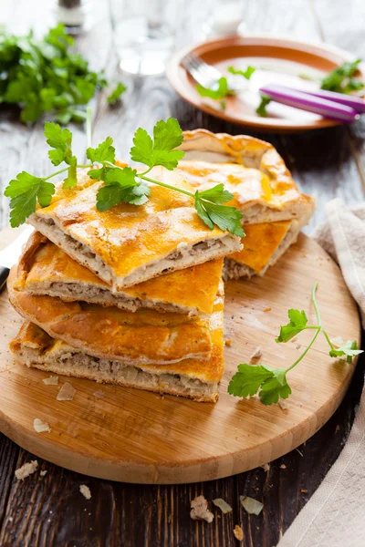 Saborosos pedaços de torta de carne e salsa — Fotografia de Stock