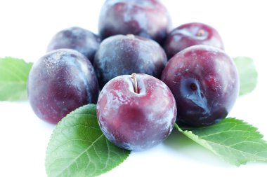 Beyaz bir yüzeye büyük Erik yalan