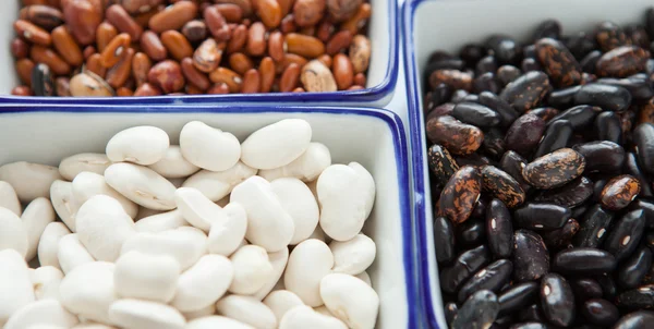 Different types of beans in containers — Stock Photo, Image