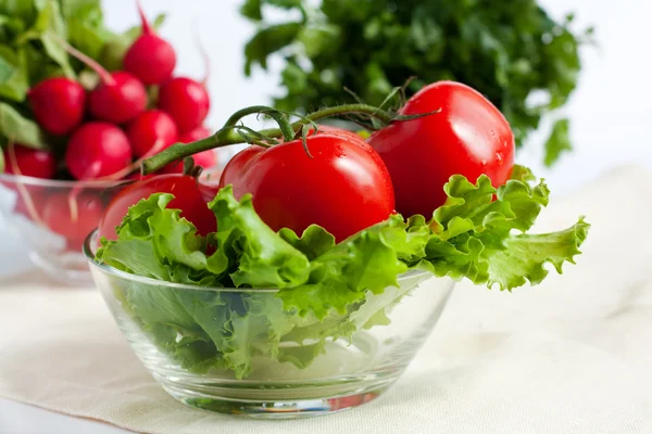 Tomatoes on the background of radish and parsley — Stock Photo, Image