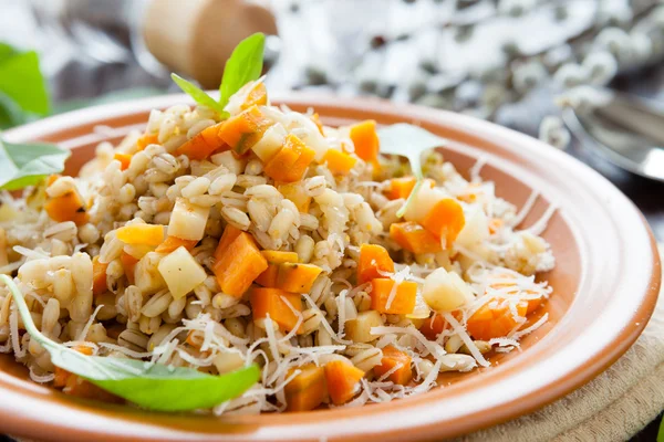 根野菜の塊と大麦のお粥 — ストック写真