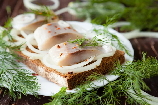 Filetes de arenque salgados com pão em uma placa branca e endro — Fotografia de Stock