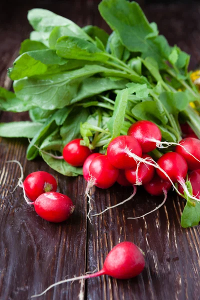 Gros bouquet de radis rouge frais — Photo