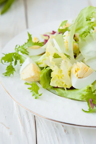 Frühlingssalat mit Salat und Ei — Stockfoto