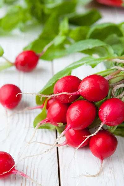 Gäng färska röda rädisor med lämnar — Stockfoto