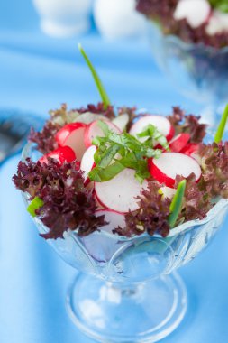 bir salata kasesine taze turp salatası