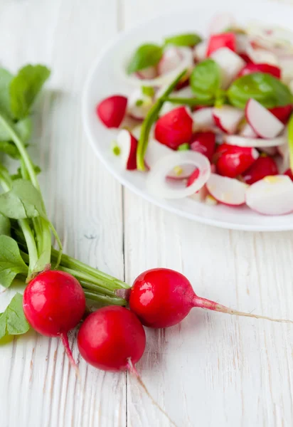 Bouquet de radis frais et salade dans une assiette — Photo