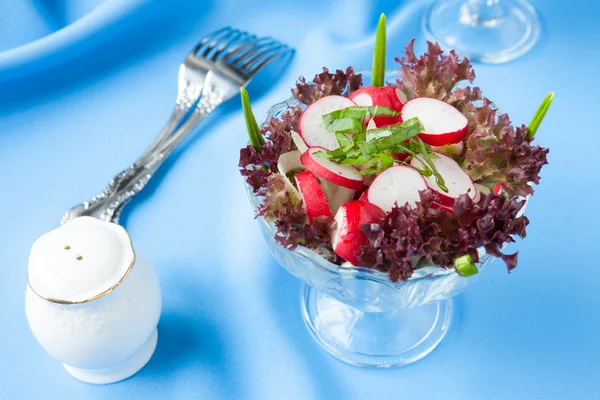 Fresh salad of radish and lola rossa — Stock Photo, Image