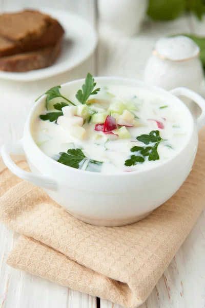 Russian okroshka with yogurt and vegetables, — Stock Photo, Image