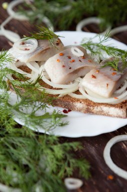 soğan ve dereotu bir tabakta ringa balığı filetosu