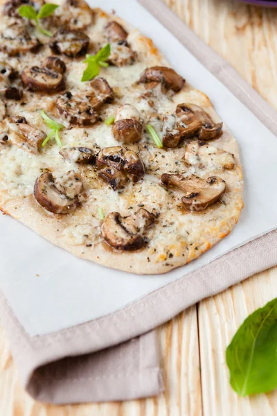 Flavored lavash with vegetables and mushrooms — Stock Photo, Image