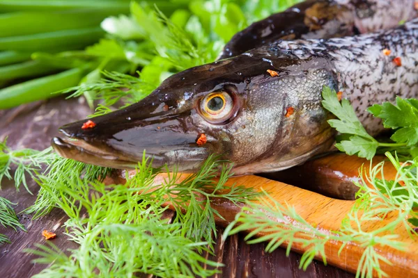 Purified pike on the board and greens — Stock Photo, Image