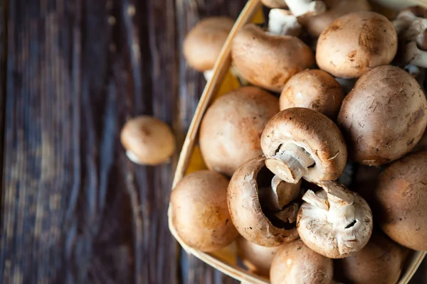 Fresh mushrooms, close-up — Stock Photo, Image
