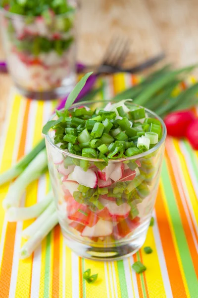 Salad with fresh radishes and green onions — Stock Photo, Image