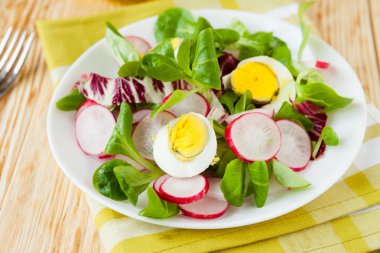 turp ve yumurta taze bahar salatası