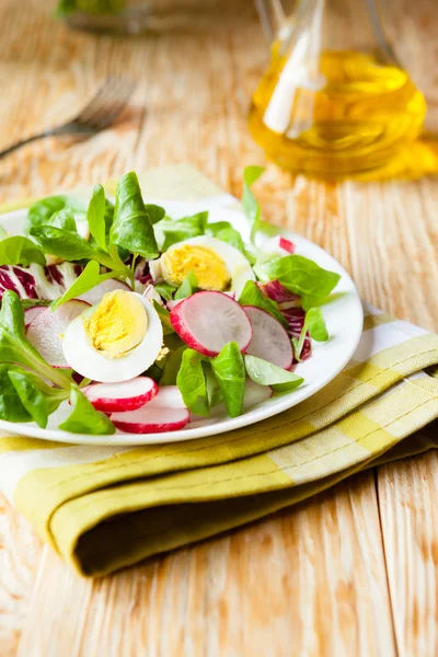 Salade fraîche au radis et oeuf — Photo
