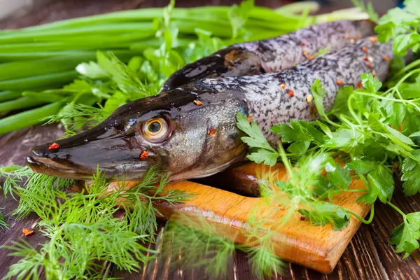 Ryby świeże szczupaka na pokładzie cięcia i świeże zioła, — Zdjęcie stockowe