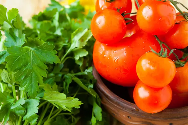 Fresh tomatoes in a bowl — Stock Image Fresh tomatoes in a bowl Royalty Free Stock Images