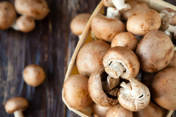 Champignons in a basket on dark boards — Stock Photo, Image