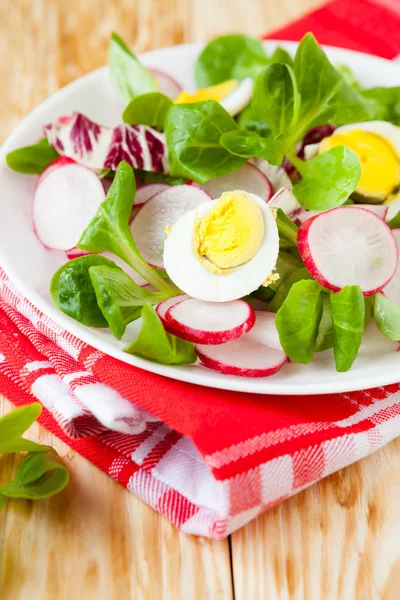 Gesunde Kost - frischer Salat mit Ei — Stockfoto