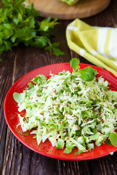 Salade de chou frais et herbes hachées — Photo