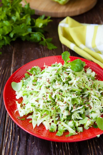 Verse kool salade en gehakte kruiden — Stockfoto