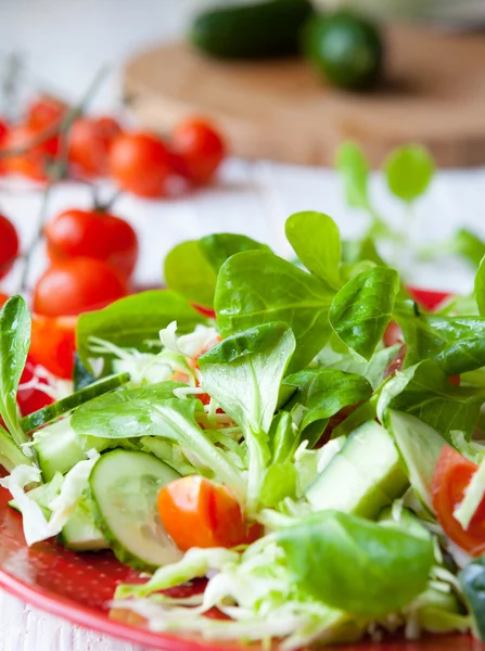 Fräsch sallad med gröna och tomater — Stockfoto