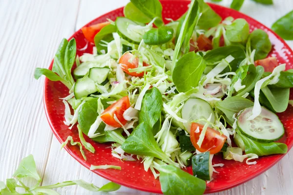 Krispiga grönsaker sallad på ett fat — Stockfoto