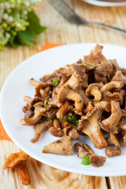 kavrulmuş Cantharellus cibarius mantar beyaz bir plaka üzerinde