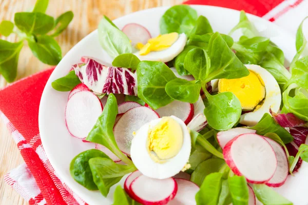 Salada fresca nutritiva com ovo e rabanete — Fotografia de Stock