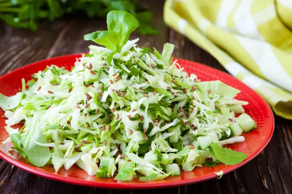 Crispy salad of young cabbage — Stock Photo, Image