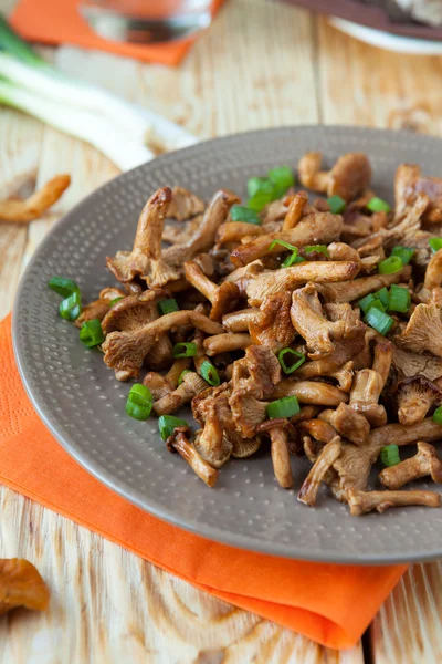 Roasted wild chanterelles and onions — Stock Photo, Image