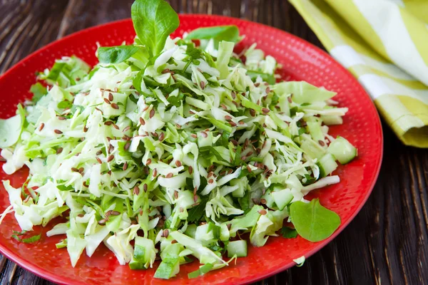 Frischer Salat mit Kohl und Leinsamen — Stockfoto