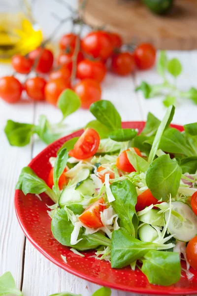 Salada fresca com repolho e tomates — Fotografia de Stock