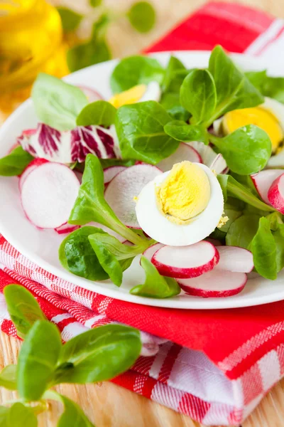 Salada fresca de rabanete e verdes, ovos — Fotografia de Stock