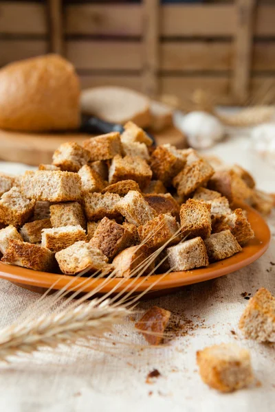 Croutons de pão caseiro em um prato cerâmico — Fotografia de Stock