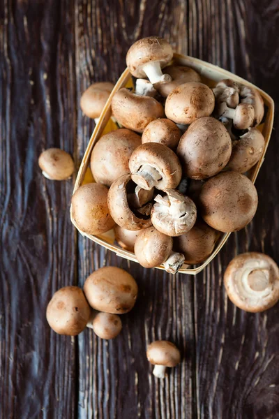 Cesta cheia de cogumelos frescos, champinhons marrons — Fotografia de Stock