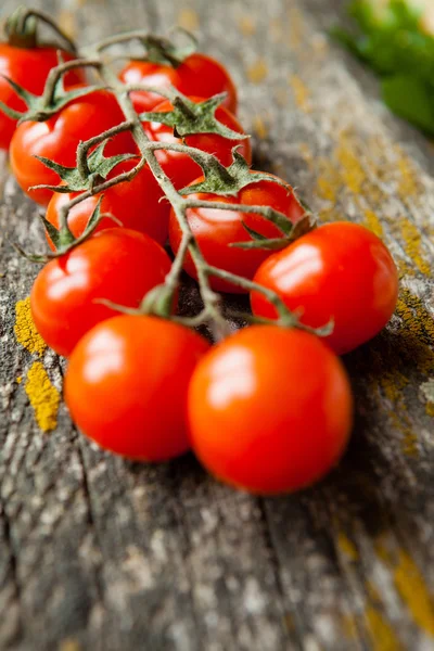 Ветвь помидоров черри на доске — стоковое фото
